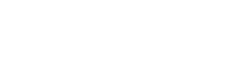 Logo IST Nikola Tesla